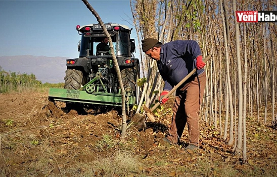 Elazığ'da İki Milyon Fidan Toprakla Buluşacak