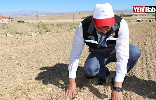 Elazığ'da İkinci Ürün Olarak Sarımsak Ekimi Gerçekleştirildi