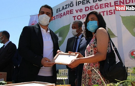 Elazığ'da İpek Böcekçiliği Yeniden Canlanıyor