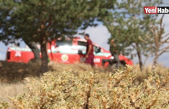 Elazığ'da Ormanlık Alanlarda Sıkı Denetim