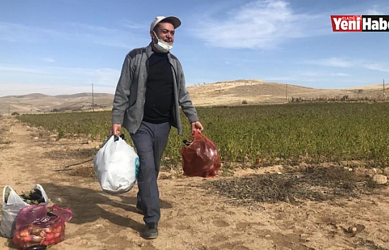 Elazığ'da Sebze Tarlasını Vatandaşlara Ücretsiz Açtı
