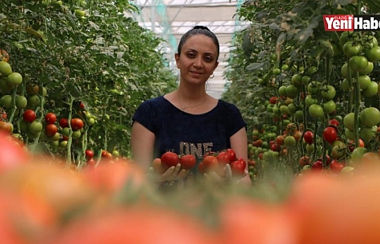 Elazığ'da Topraksız Tarım Kadınlara İş Kapısı Oldu