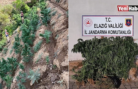 Elazığ'da Uyuşturucu Operasyonu