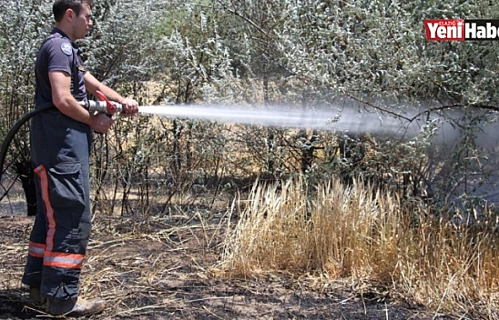Elazığ'da Yangın 12 Dönüm Ekili Alan Kül Oldu