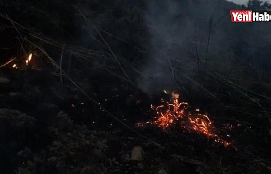 Elazığ'da Yıldırım Yangına Neden Oldu