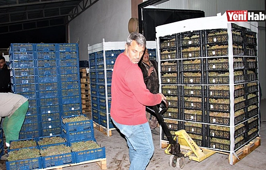 Elazığ'dan 8 Ülkeye 3 Bin Ton Üzüm İhracatı