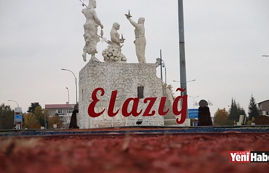 Elazığ Depreminde Kaç Kişi Hastaneye Başvurdu?