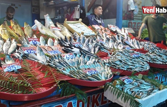 Fiyatlardaki Düşüş, Balıkçıların Yüzünü Güldürdü