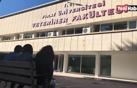 FÜ Veteriner Fakültesi'nden Uluslararası Başarı!