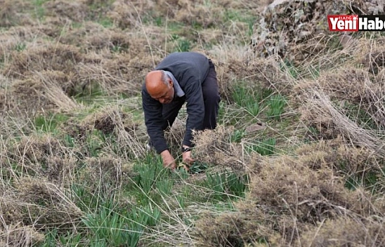 Her Derde Deva 'Gulik'