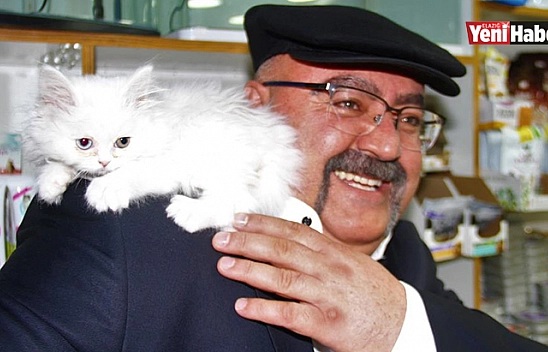 Her Gün Gidip Kediyle Vakit Geçiriyor