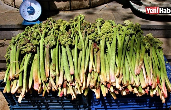 Işkın Tezgahlarda Yerini Aldı