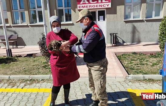 Jandarma'dan Can Suyu