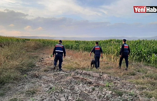 Jandarmadan Kenevir Ekimine Karşı Önlem!