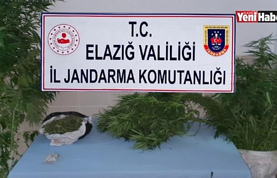 Jandarmadan Zehir Tacirlerine Eş Zamanlı Operasyon!