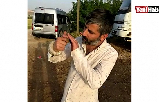 Korkusuz Adam Yakaladığı Yılanı önce Sevdi Sonra Öptü
