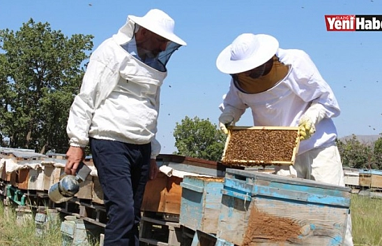 Kuraklık ve Toz Taşınımı Arıcıları Vurdu!