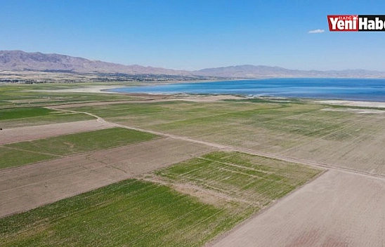 Kuruyan Baraj Havzasında Tarıma Başlandı