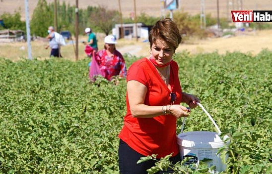 Marketlerdeki Fahiş Fiyatlara Kızdı, Tarlasını Vatandaşlara Açtı!