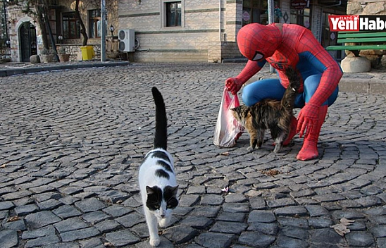Örümcek Adam Elazığ Sokaklarında!