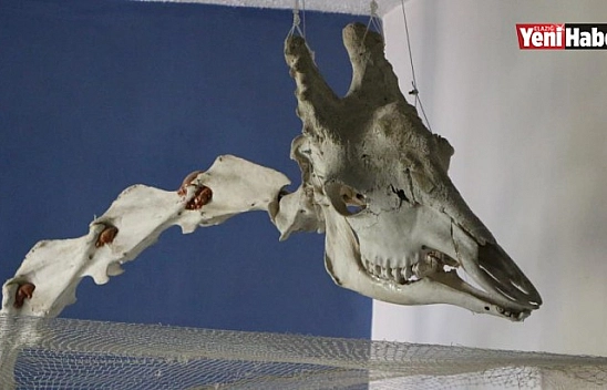 'Türkiye'de Bir Tek Bizde Var!'