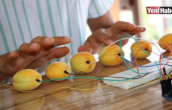 Tuşları Kayısıdan Olan Piyano Yaptı, Görenler Gözlerine İnanamadı.