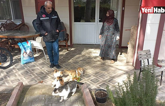 Zahide Ninenin Kedilerine Mama Desteği