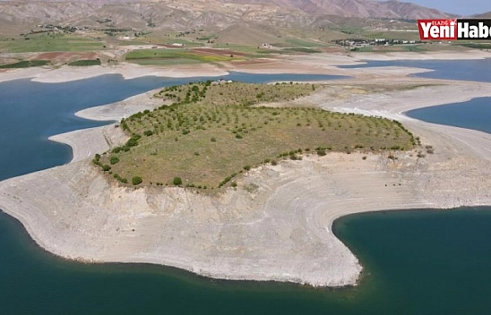 Robinson Ziya Dedenin Adası Baharla Birlikte Yeşile Büründü