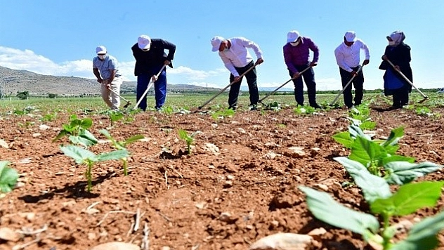 Yeşilyurt'ta Tarımsal Üretim Ve Ar-Ge Sahası Kuruldu