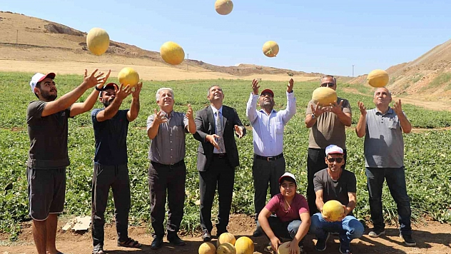 Kavun Hasadında Yüzler Gülüyor