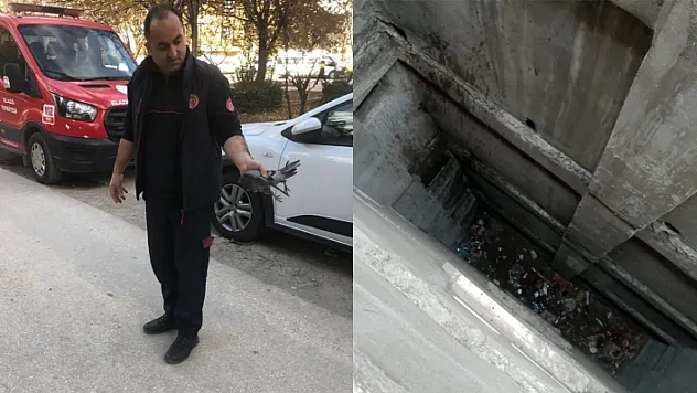 İtfaiye'den Güvercin Operasyonu