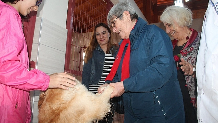Karatay: 'Kısırlaştırmaya karşı değilim, tecavüzcüleri kısırlaştırın' 