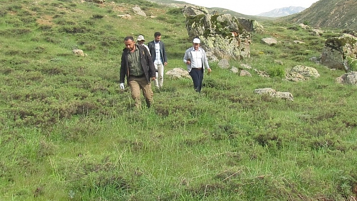 Elazığ'da nesli tehlikede olan kuş türleri ve sürüngenler tespit edildi 