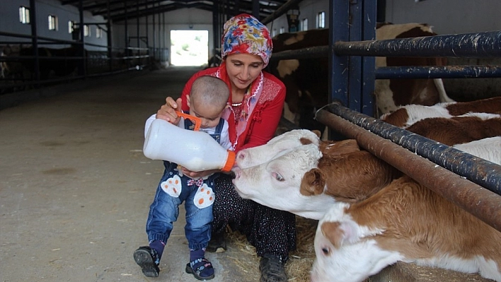 6 Çocuk Annesinin Başarı Hikayesi