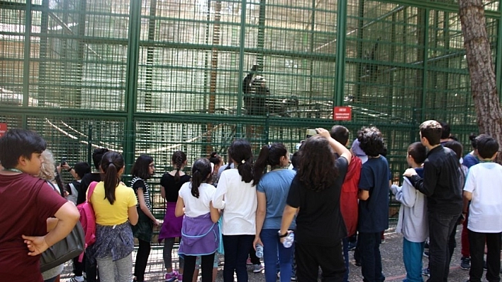 Çamlıca Okullarından Gaziantep'e gezi 