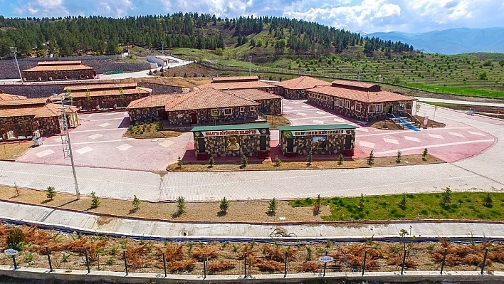 Malatya'da 4 ayda 194 başıboş hayvan sahiplenildi 