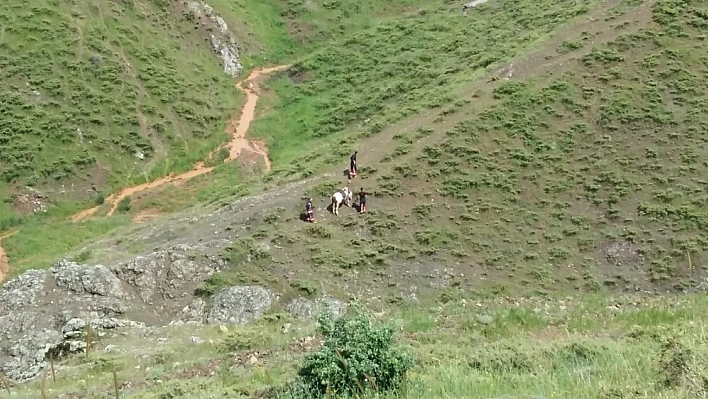 Mahsur kalan ineği itfaiye ekipleri kurtardı 