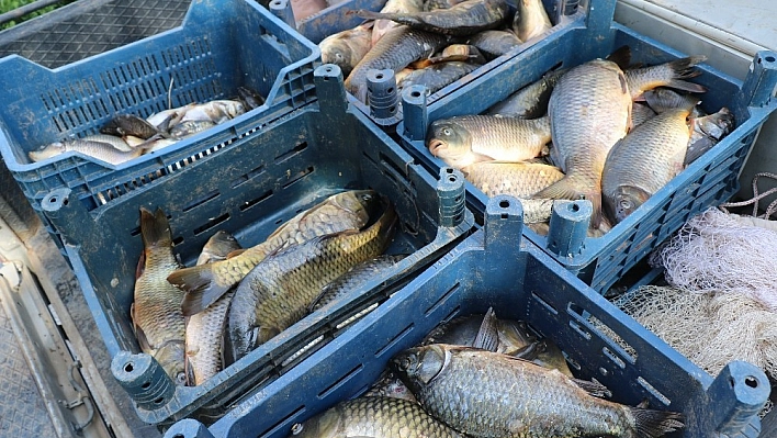 Kaçak Avlanan 300 kilo Balık Ele Geçirildi