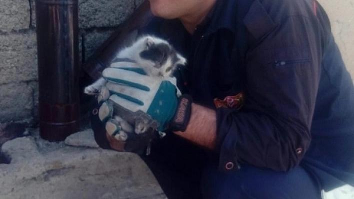 Bacaya sıkışan kedi kurtarıldı 