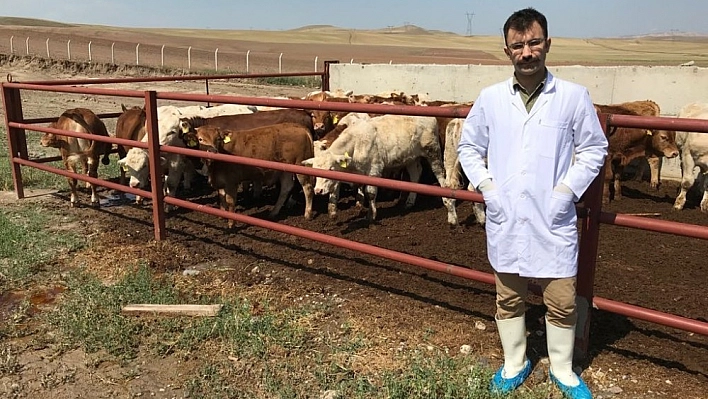 Hayvan yetiştiricilerine aşırı yağış uyarısı 