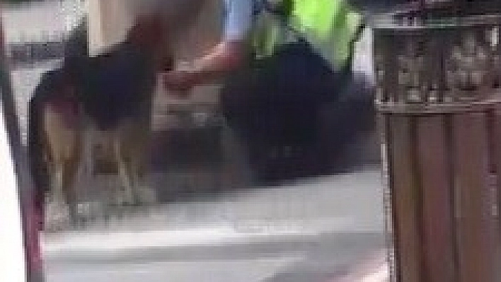 Türk Polisinin merhameti 