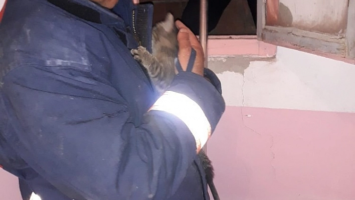 Havalandırma boşluğuna düşen kedi kurtarıldı 