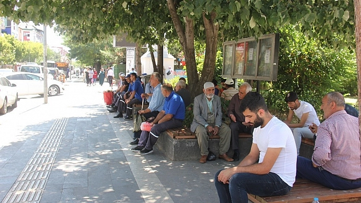 Sıcaklar arttı, bunalanlar kendini gölgeye attı 