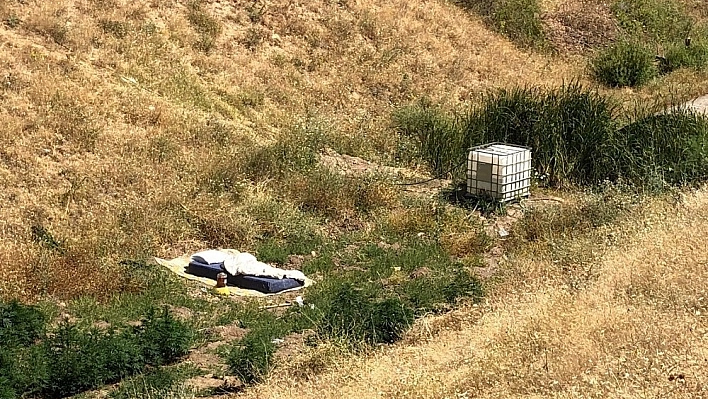 150 kök kenevir ele geçirildi