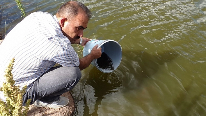 Göletlere 110 bin yavru balık bırakıldı 