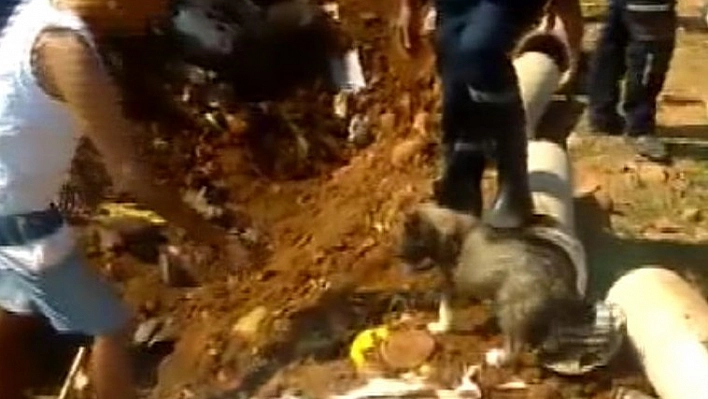 Su borusunda mahsur kalan yavru köpek kurtarıldı 