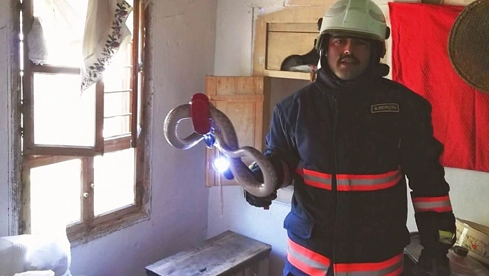 Eve giren yılanı itfaiye çıkardı 