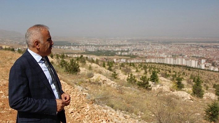 Beydağı ağaçlandırma sahasında başarı yüzde 90 