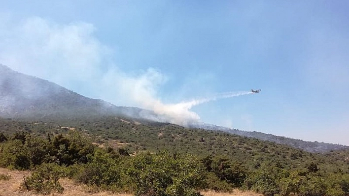 Tunceli'deki orman yangını söndürüldü 