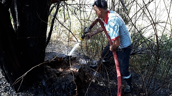 Otluk yangını ağaçlara zarar verdi 